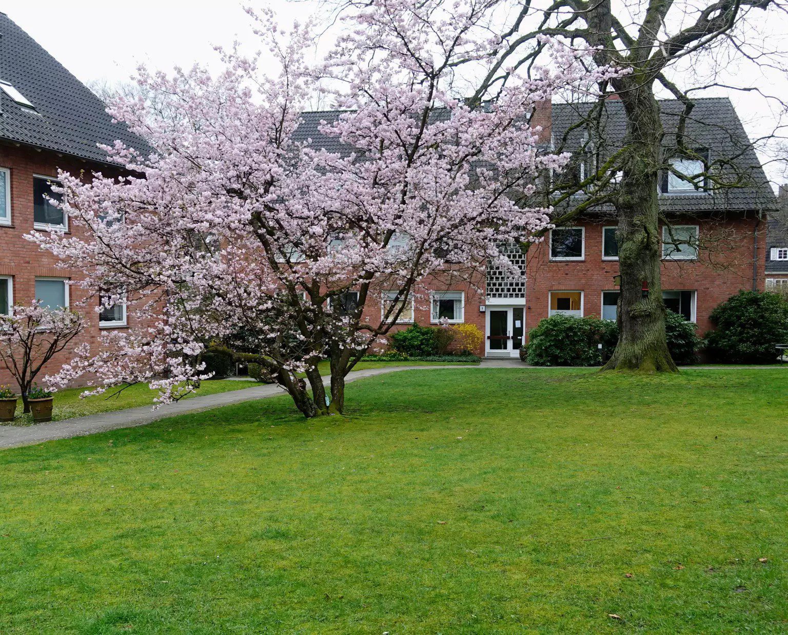 BlickzumHaus