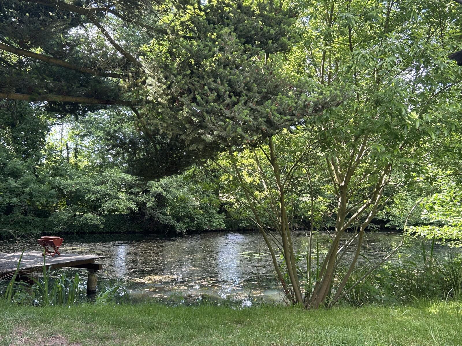05 Teich