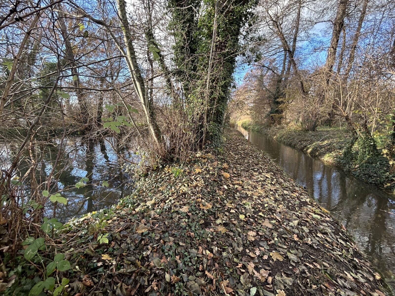 06 Teich und Bach
