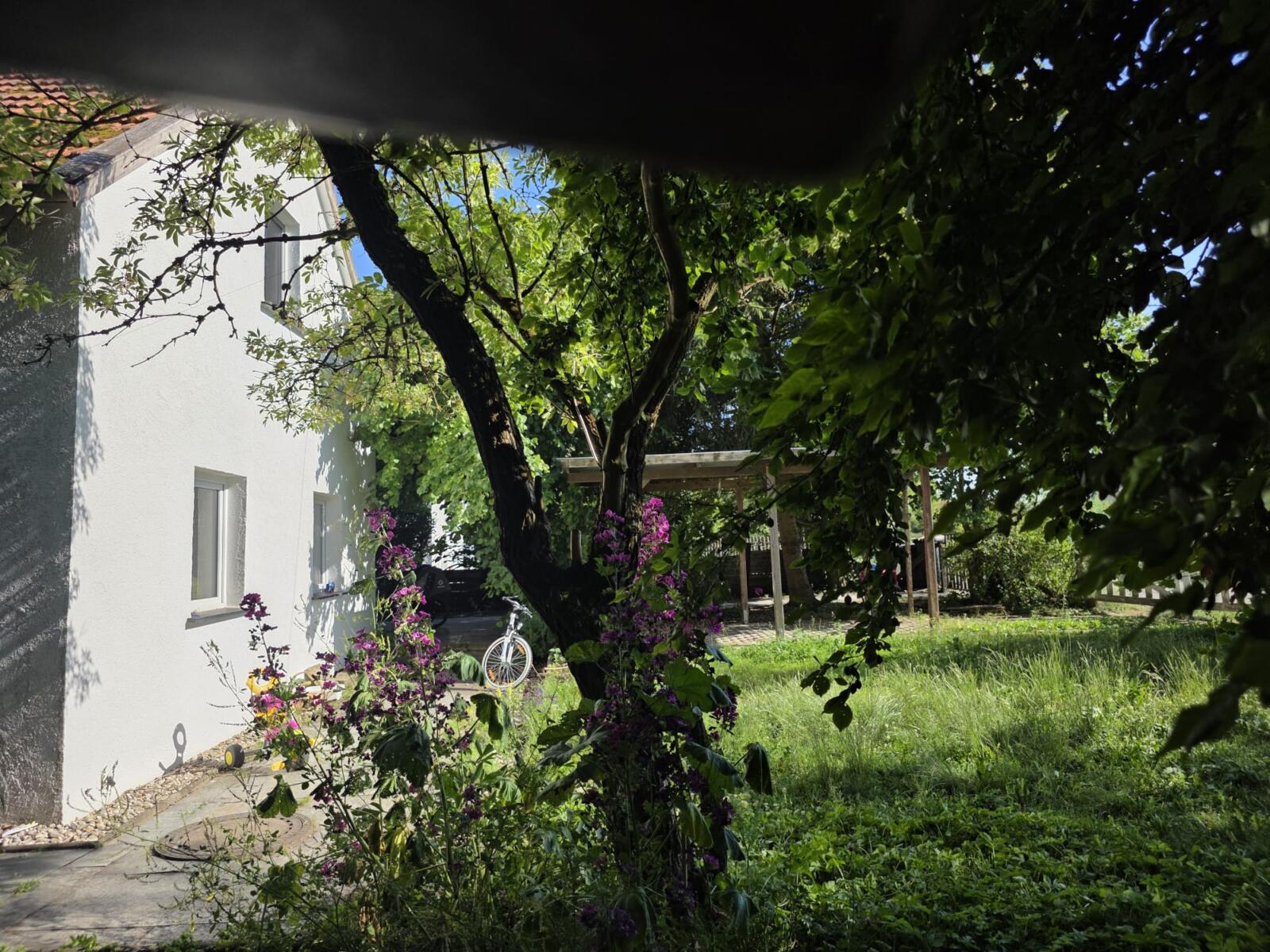Garten vorne Haus 86