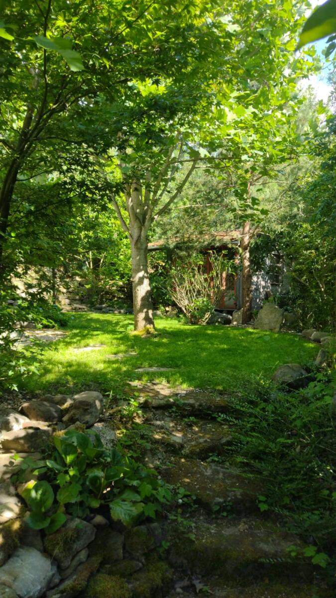 Garten 1