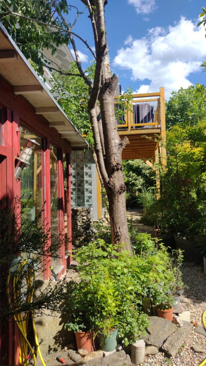 Garten 4