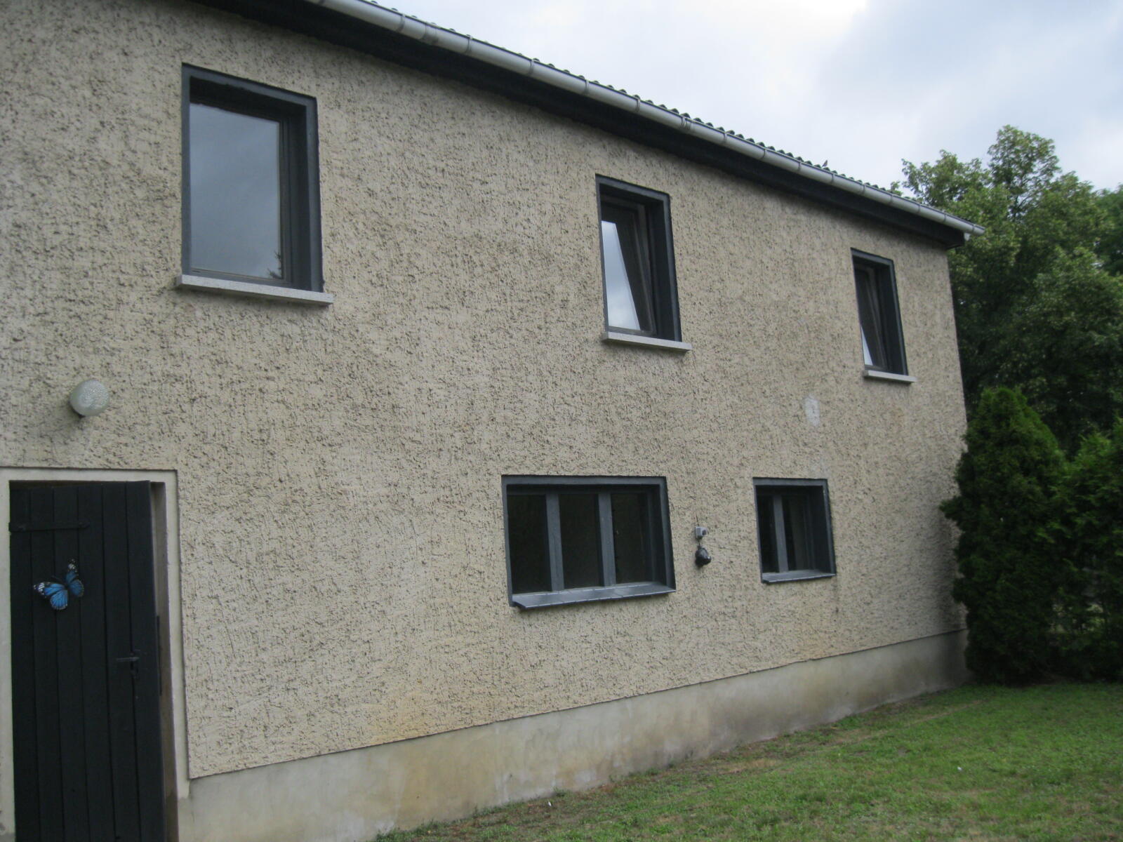 back