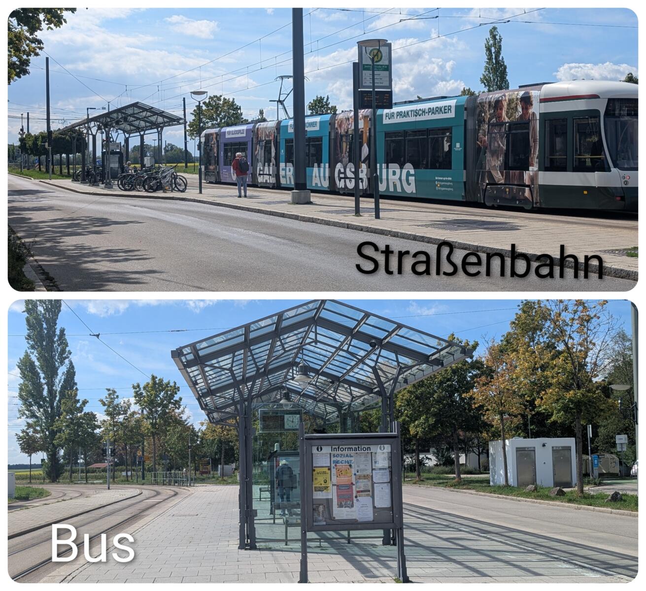 Collage_2026-09-12_23_01_22~3